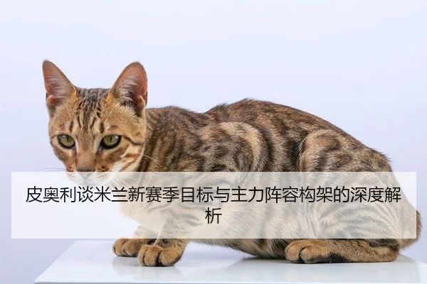 皮奥利谈米兰新赛季目标与主力阵容构架的深度解析